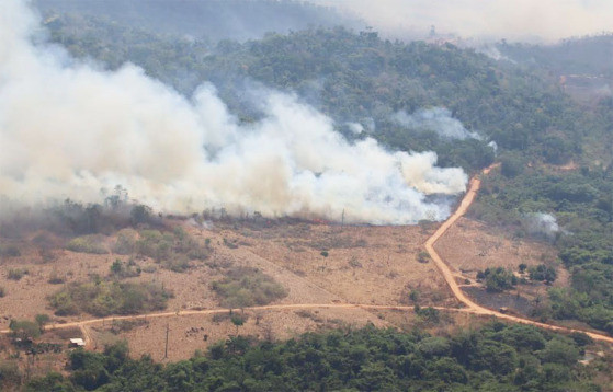 MT:  DESTRUIÇÃO & ABANDONO:   Cristalino tem alta de 40% em queimadas. Entidades acusam Governo