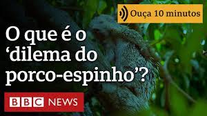 O que é dilema do porco-espinho, parábola de Schopenhauer sobre complexidade das relações humanas