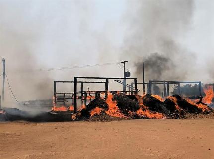 Cabo rompido causa incêndio em madeireira no interior