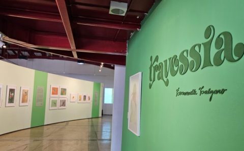 Exposição inspirada em voos de aves do Brasil entra em cartaz na Galeria Lava Pés