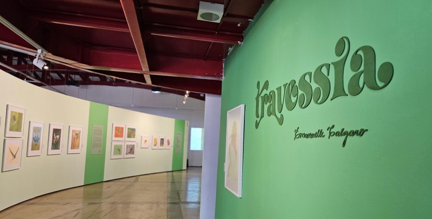 Exposição inspirada em voos de aves do Brasil entra em cartaz na Galeria Lava Pés