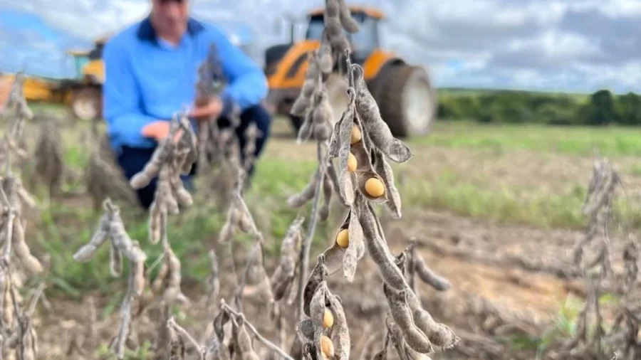 MT:  NO MÍNIMO:   Produtor em MT precisa vender soja a R$ 122,72 para cobrir custo da safra