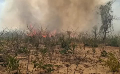 Indígenas de MT lutam por sobrevivência após um mês de queimadas