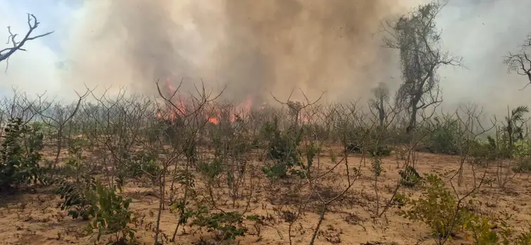 Indígenas de MT lutam por sobrevivência após um mês de queimadas