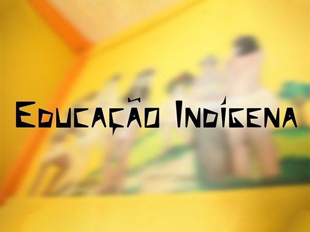 MT:   Indígenas relatam ao MEC os desafios da educação escolar no Território do Xingu