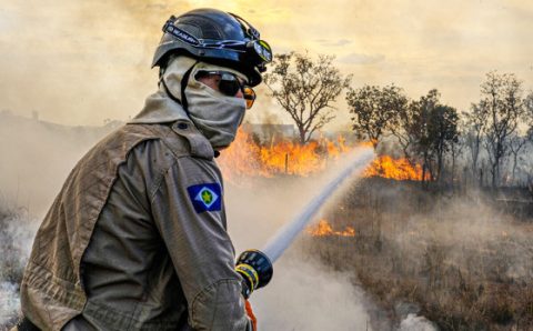 MT:  SALDO TRÁGICO:   Em 9 meses, fogo destrói 5,5 milhões de hectares no Estado