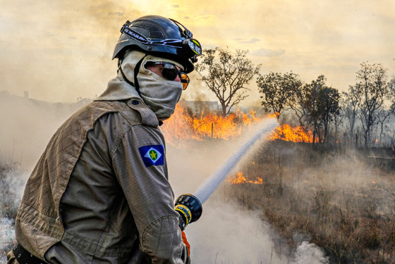 MT:  SALDO TRÁGICO:   Em 9 meses, fogo destrói 5,5 milhões de hectares no Estado