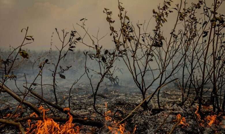 MT:  Mato Grosso enfrenta colapso climático com temperaturas que poderão alcançar 50° graus