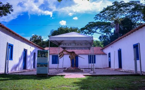 MT: Museu de História Natural tem programação especial para o mês das crianças com oficinas e atividades lúdicas