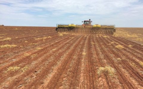 MT:   Semeadura de soja avança em Mato Grosso, mas ainda está atrasada em relação à safra anterior