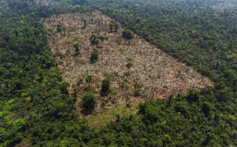 MT:  CRIME AMBIENTAL:   STJ condena fazendeiro a pagar R$ 626 mil por desmatamento ilegal em MT