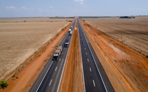 MT:  PROJEÇÃO DA CONAB:   Produção de grãos de MT deve aumentar 4,3% na safra 2024/2025