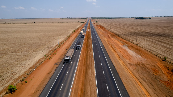 MT:  PROJEÇÃO DA CONAB:   Produção de grãos de MT deve aumentar 4,3% na safra 2024/2025