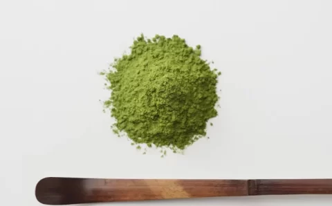 Enxágue bucal com matcha pode combater bactéria que causa periodontite