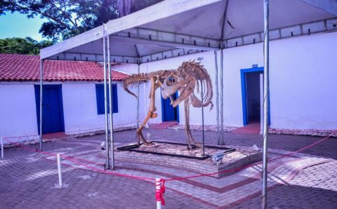 MT:   Cabelo maluco de dinossauro, pintura sustentável e oficinas de reciclagem: confira programação do Museu de História Natural para o mês de novembro