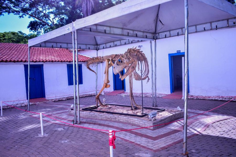 MT:   Cabelo maluco de dinossauro, pintura sustentável e oficinas de reciclagem: confira programação do Museu de História Natural para o mês de novembro