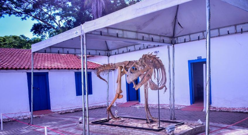 Cabelo maluco de dinossauro, pintura sustentável e oficinas de reciclagem: confira programação do Museu de História Natural para o mês de novembro