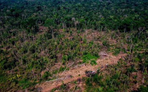 MT:  Projeto prevê reclassificação de áreas de Amazônia e Cerrado; ambientalistas alertam para aumento de desmate em MT