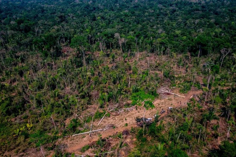 MT:  Projeto prevê reclassificação de áreas de Amazônia e Cerrado; ambientalistas alertam para aumento de desmate em MT