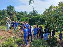 Escola da rede estadual cria projeto de recuperação de nascentes em Nova Monte Verde