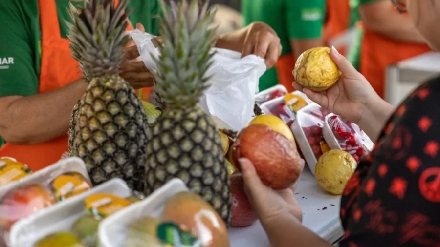 Feira Natural do Campo chega a Nossa Senhora do Livramento