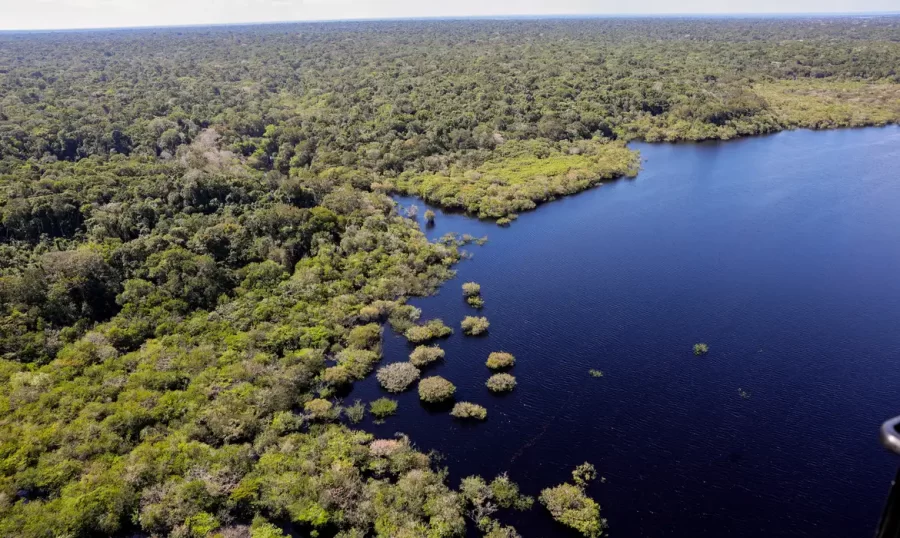 Petrobras e BNDES fazem parceria para restauração na Amazônia