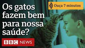 Os gatos fazem bem para nossa saúde?