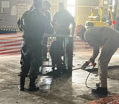 Bombeiros resgatam tamanduá-bandeira de local de risco em Cuiabá