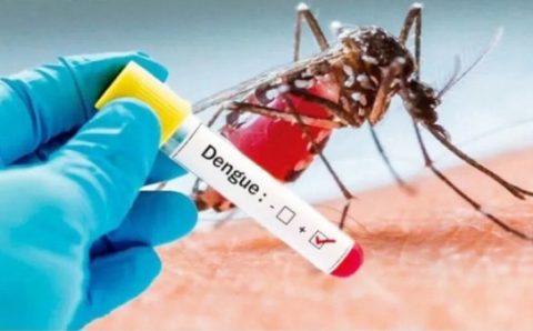 MT fecha 2024 com alta incidência de dengue e chikungunya