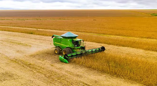 MT:  Preço da soja tem forte queda em Mato Grosso no início de 2025