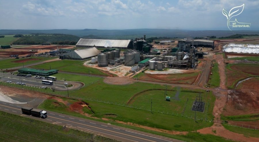 MT:  MT SUSTENTÁVEL:  Grupo de produtores se une para agregar valor à produção agrícola em Mato Grosso