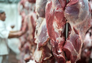 MT:  CENÁRIO POSITIVO:   Alta demanda global aquece exportações de carne bovina em MT