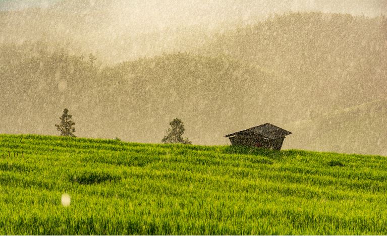 MT:  ÁGUA SEM PARAR:    Tá caindo o mundo em Mato Grosso! Veja se a chuva continuará nos próximos dias